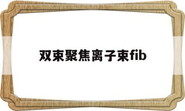 双束聚焦离子束fib