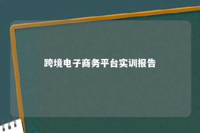 跨境电子商务平台实训报告 跨境电子商务平台实训心得