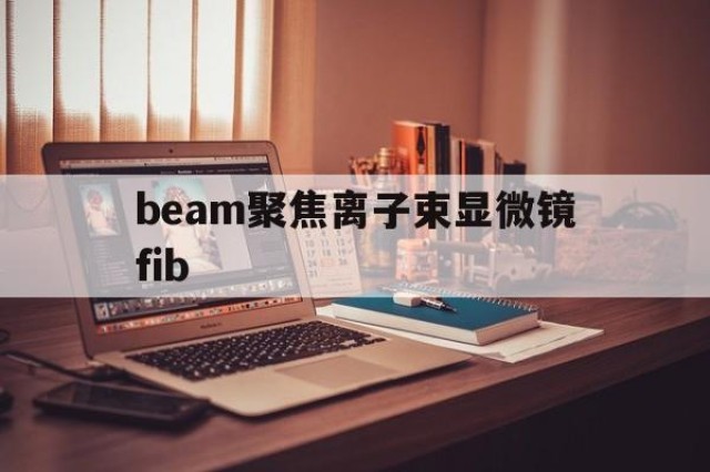 beam聚焦离子束显微镜fib