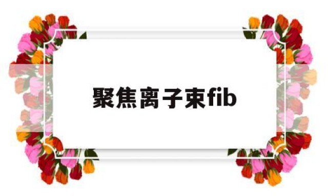 聚焦离子束fib