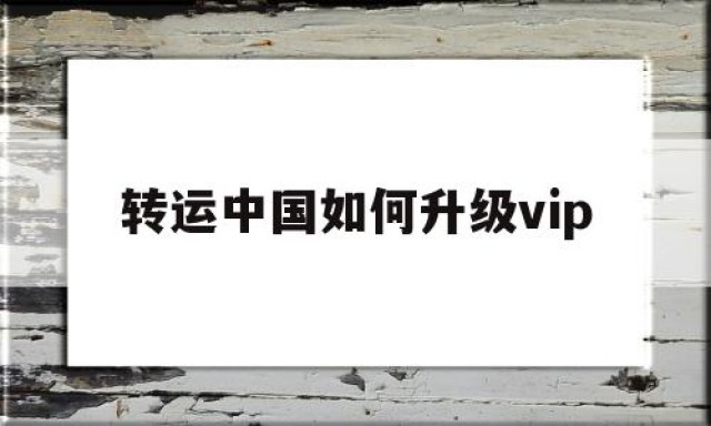 转运中国如何升级vip