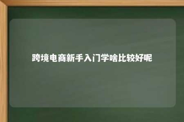 跨境电商新手入门学啥比较好呢 跨境电商新手教程