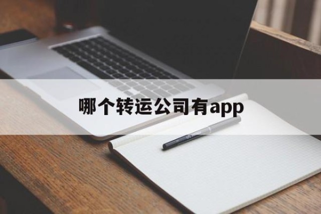 哪个转运公司有app