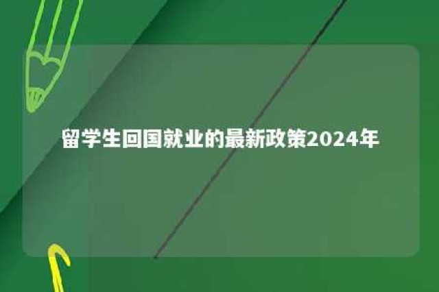 留学生回国就业的最新政策2024年 留学生回国就业形势