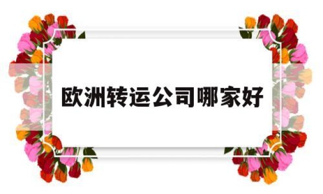 欧洲转运公司哪家好