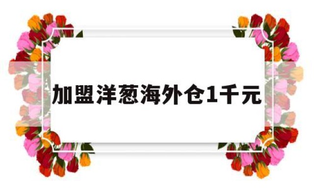 加盟洋葱海外仓1千元