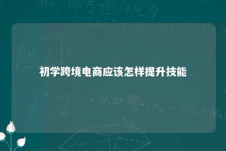 初学跨境电商应该怎样提升技能