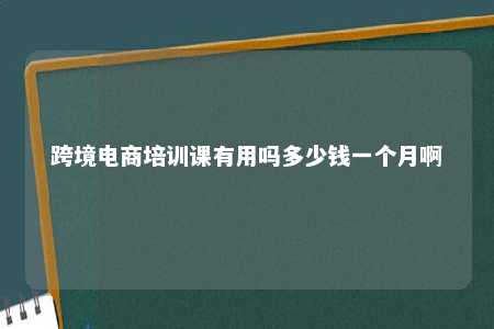 跨境电商培训课有用吗多少钱一个月啊