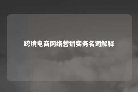 跨境电商网络营销实务名词解释