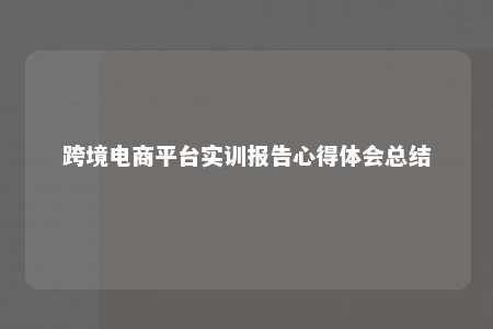 跨境电商平台实训报告心得体会总结