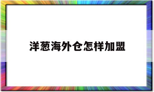 洋葱海外仓怎样加盟