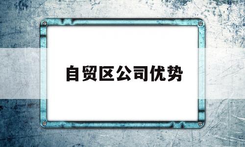 自贸区公司优势